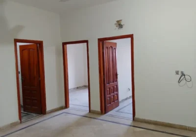 557591477-800×600-1