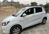 Suzuki Cultus VXL 2019 G-15